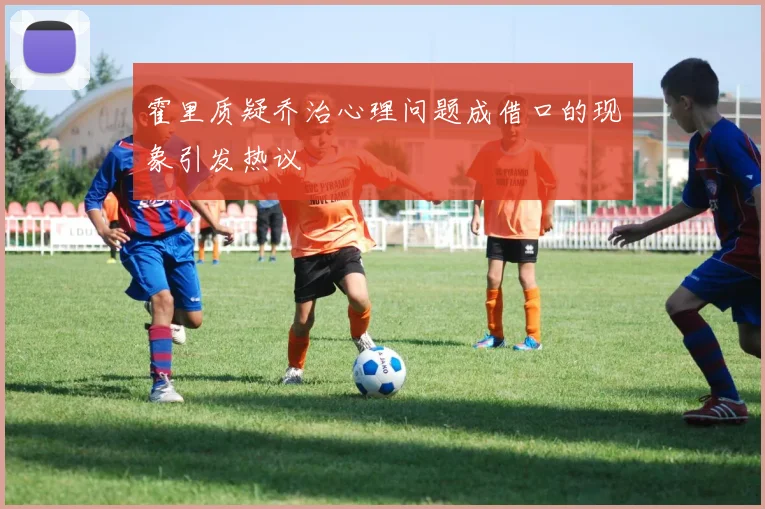 霍里质疑乔治心理问题成借口的现象引发热议